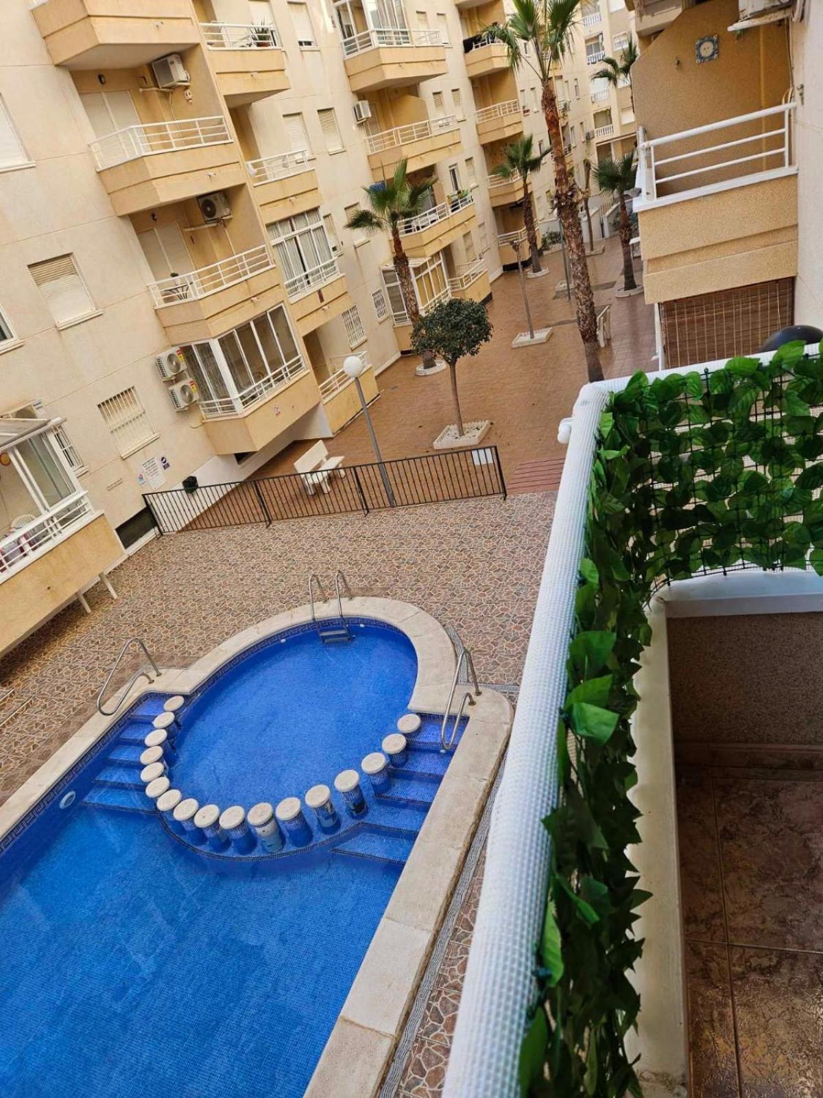Don Pablo Apartmento Torrevieja Eksteriør billede
